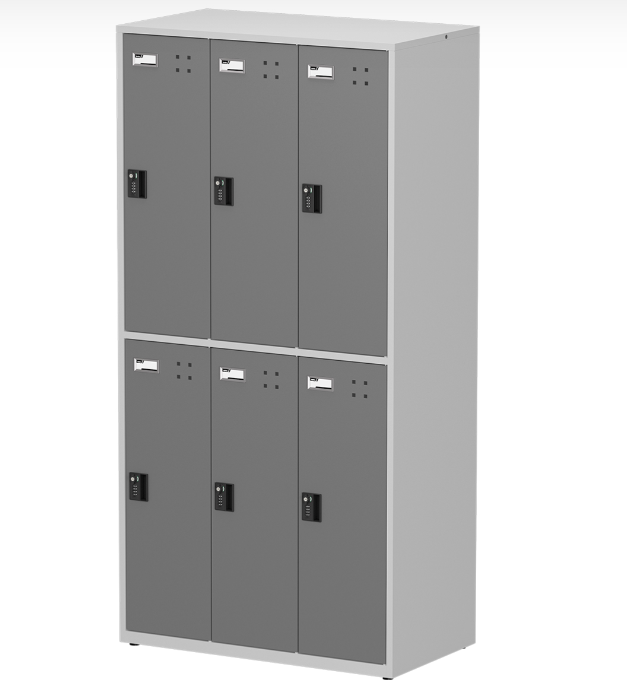 Load image into Gallery viewer, 6 Door Locker (Gray)
