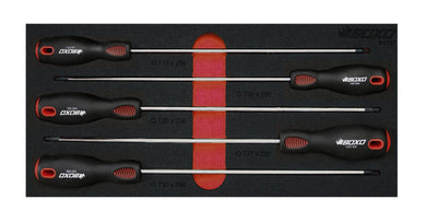 5pcs Torx Screwdriver x 250L Set